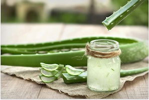 What is Aloe Vera Good For? Does it Actually Work?
