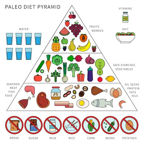 Paleo diet pyramid. 