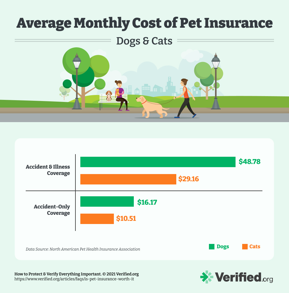 Is Pet Insurance Worth It? Costs Broken Down