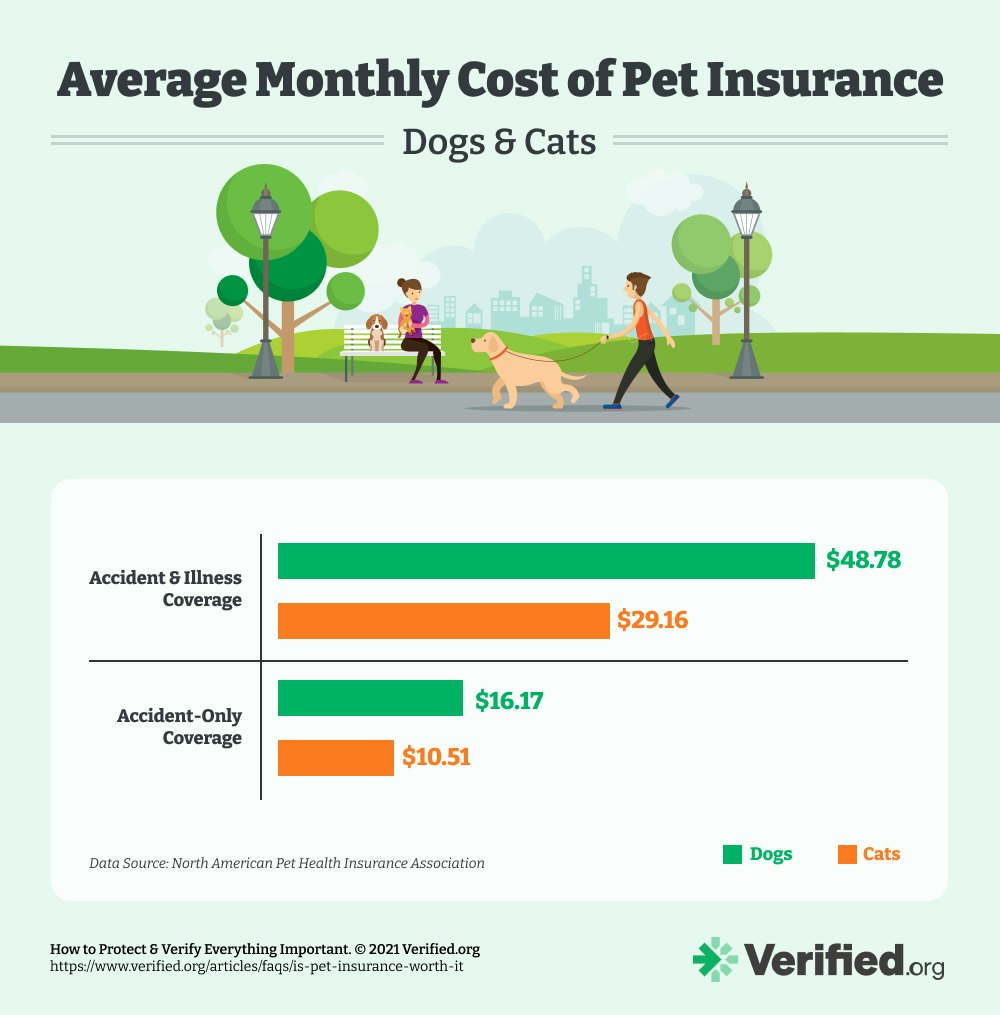 Average cost of pet insurance