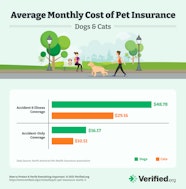 Is Pet Insurance Worth It Costs Broken Down Verified