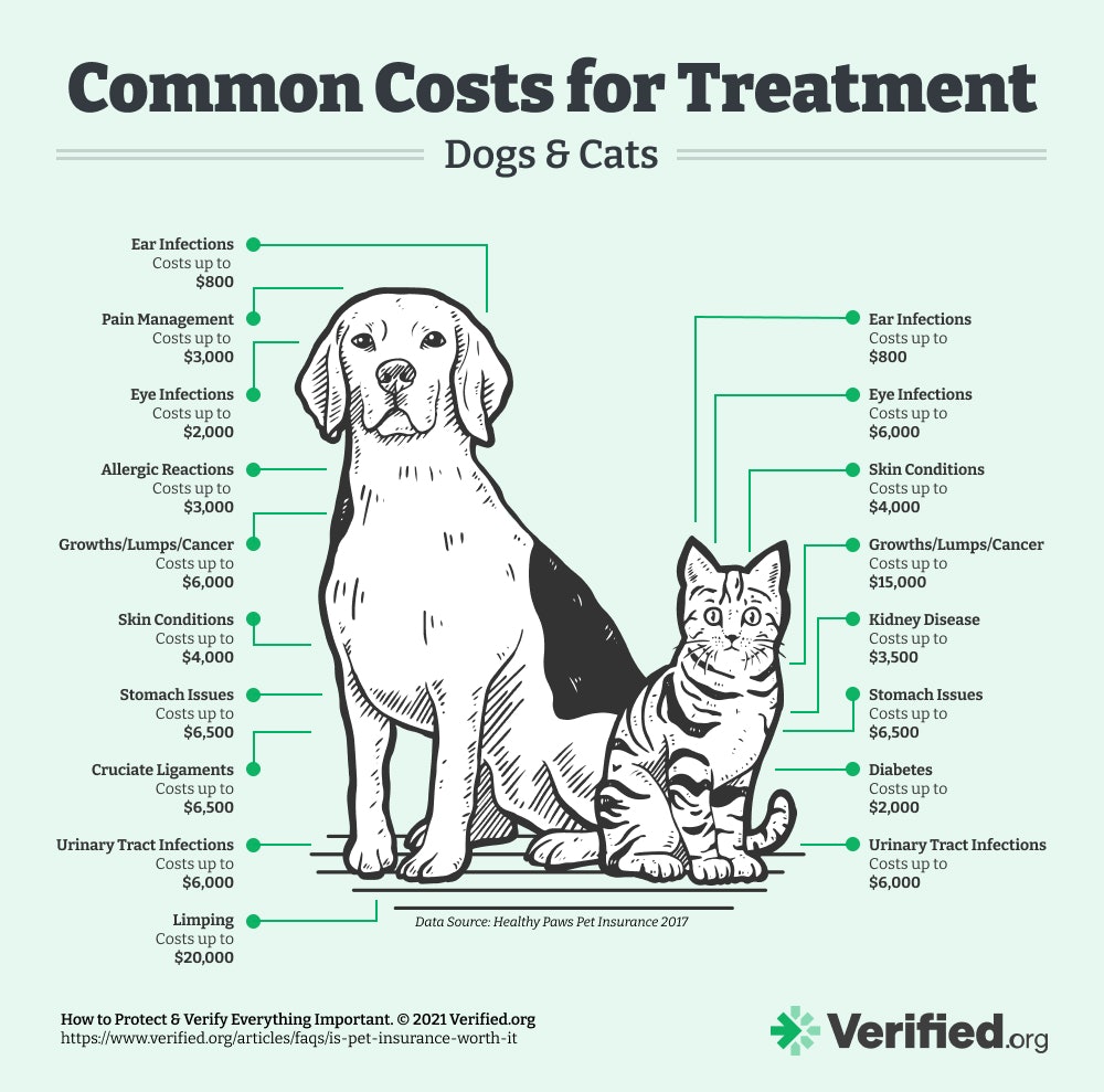 Common costs of treatment for pets