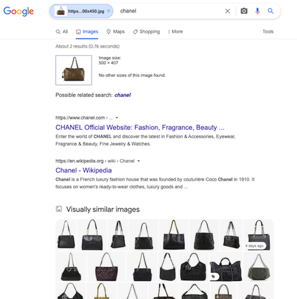 Reverse image search results.