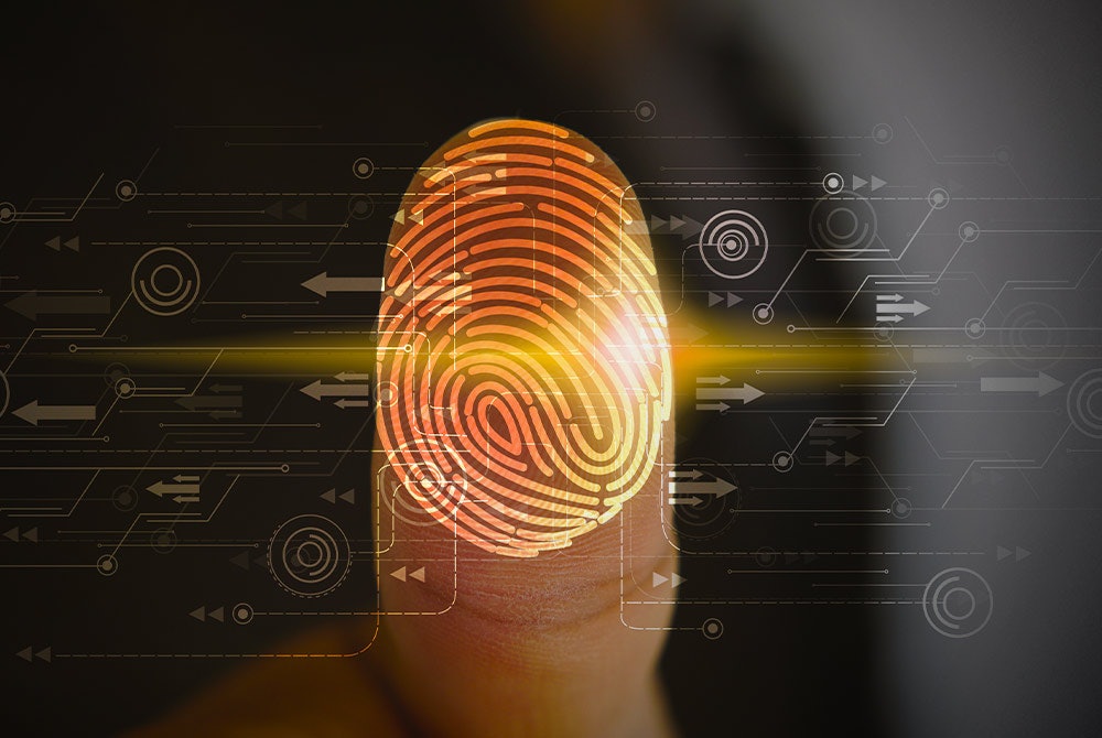 Top 5 ID Protection Services: Editor's Picks for 2022