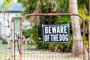 What Legal Actions Can I Take After a Serious Dog Attack?