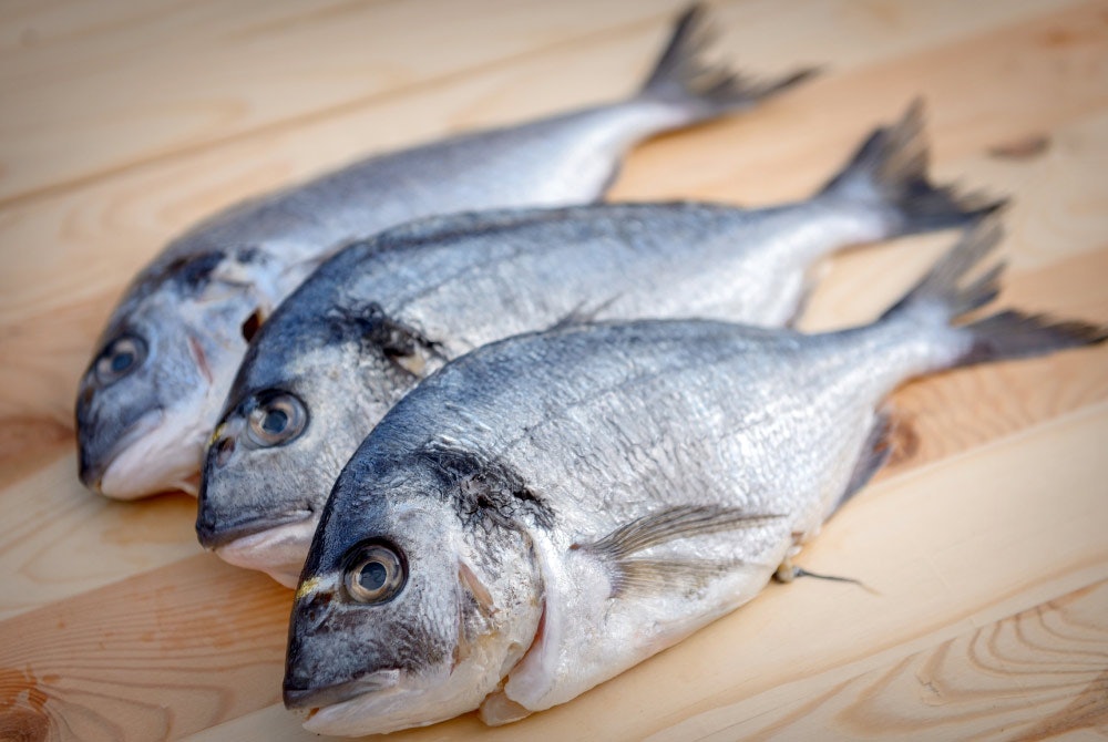 Mercury Poisoning From Fish: Is It Really Possible?