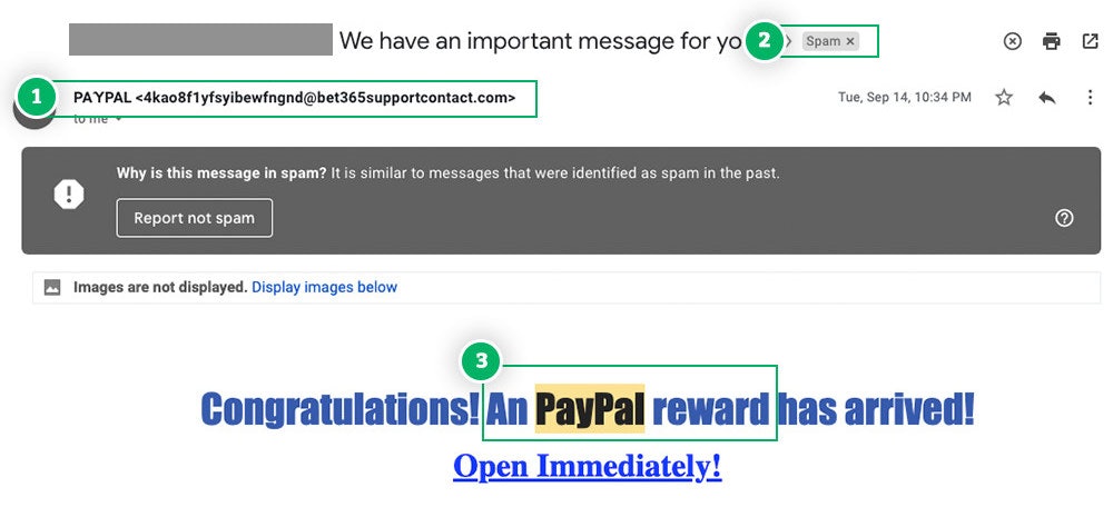 Example of PayPal scam email