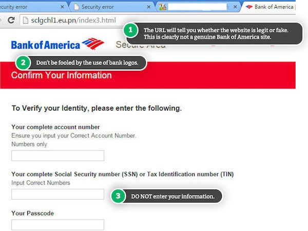 Example of fake Bank of America website. 