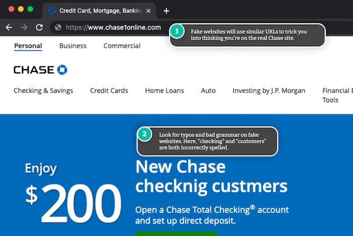 Fake Chase website. 