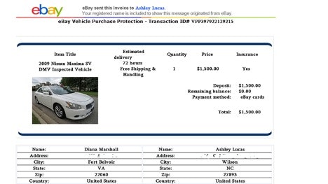 Example of an eBay scam posting