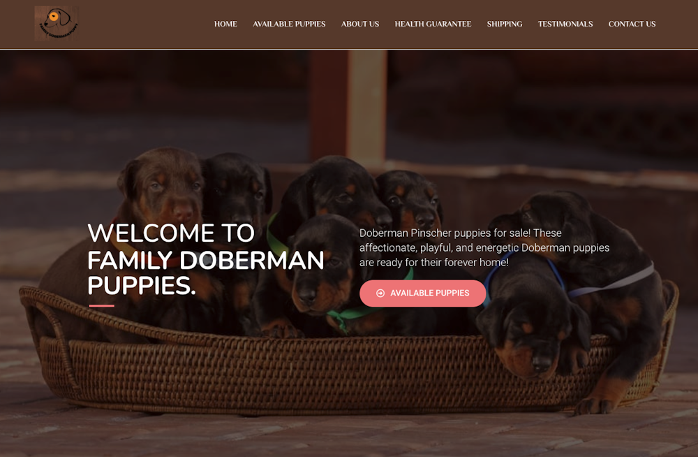 Scam Website with images of Doberman Puppies