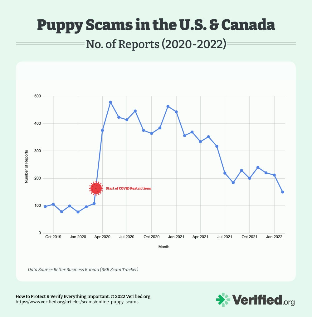 Chart of Puppy Scam Reports During the Pandemic