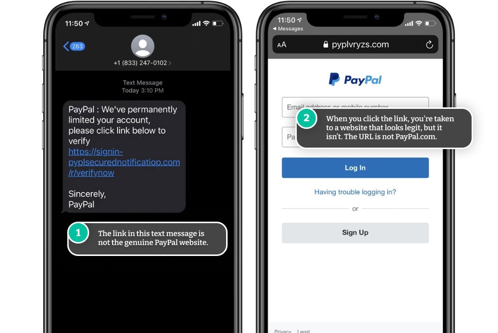 Example of a fake PayPal text and website.
